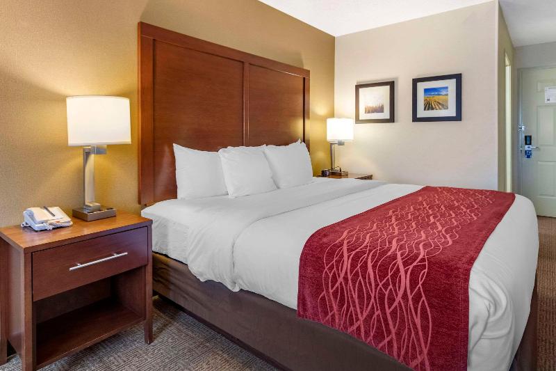 Comfort Inn Central Great Falls image