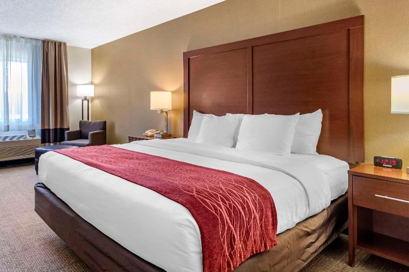 Comfort Inn Central Great Falls image