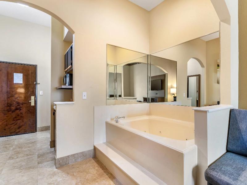 Comfort Suites Bush Intercontinental Airport image