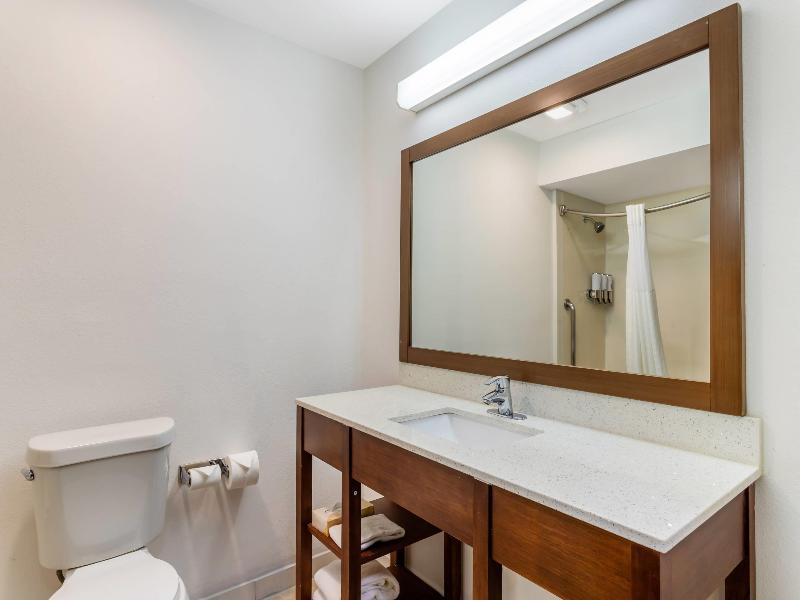 Comfort Suites Bush Intercontinental Airport image