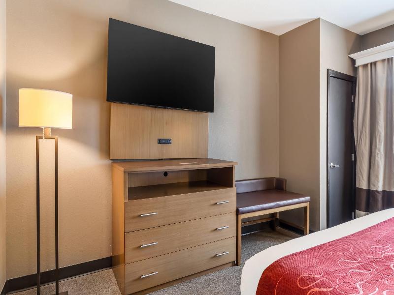 Comfort Suites Bush Intercontinental Airport image