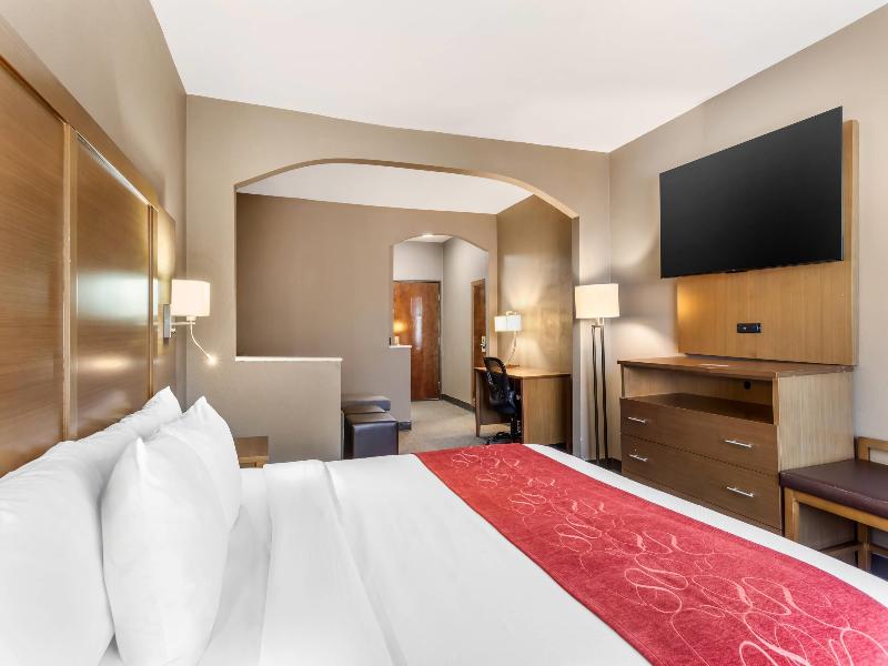 Comfort Suites Bush Intercontinental Airport image