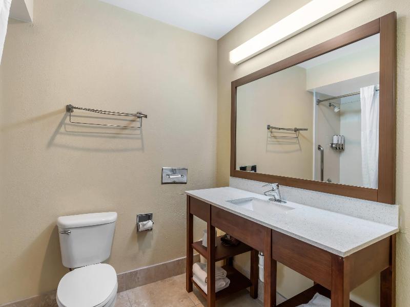 Comfort Suites Bush Intercontinental Airport image