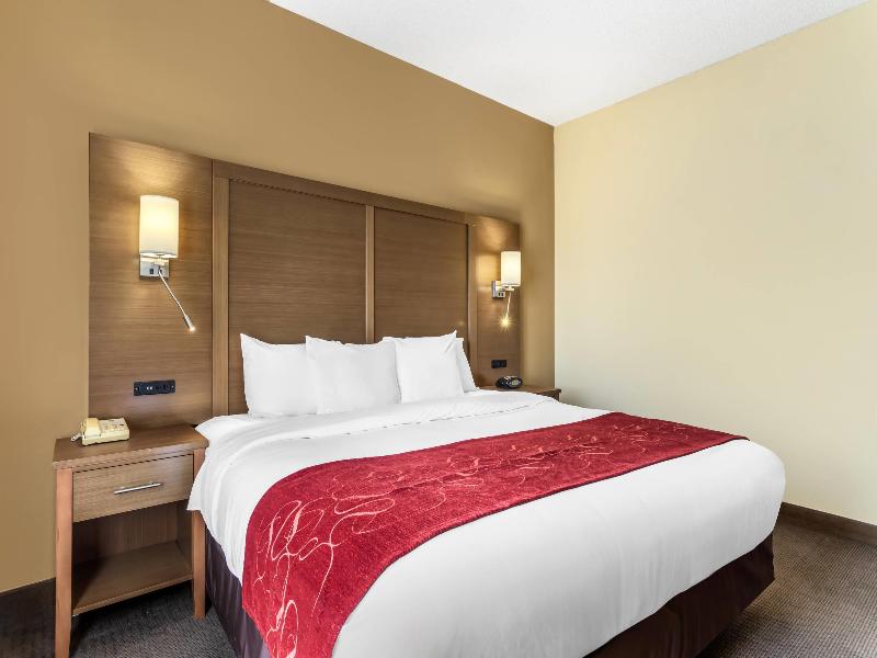 Comfort Suites Bush Intercontinental Airport image