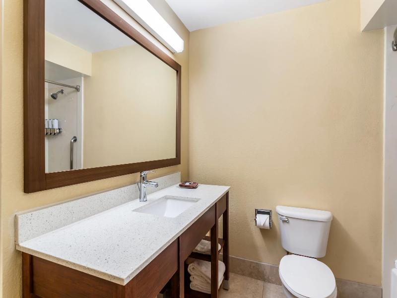 Comfort Suites Bush Intercontinental Airport image