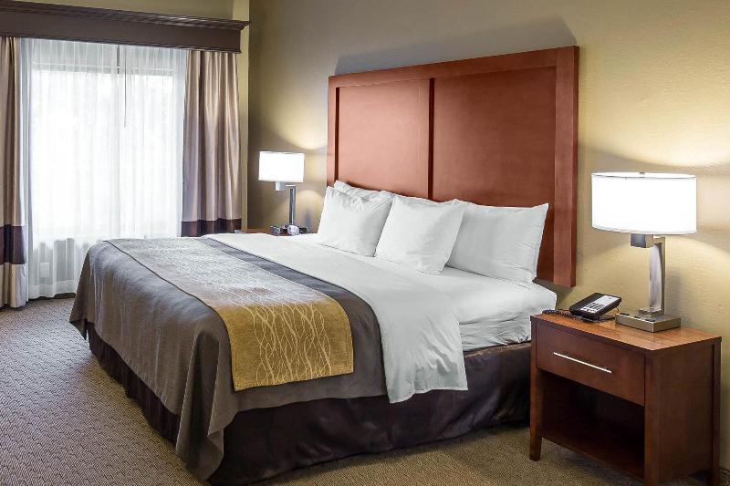 Comfort Inn & Executive Suites