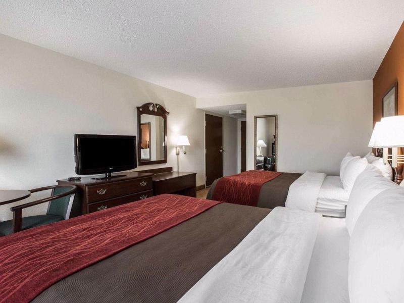 Comfort Inn & Suites at I-85 image