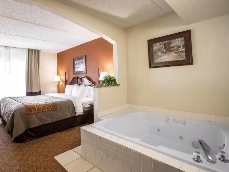 Comfort Inn & Suites at I-85 image