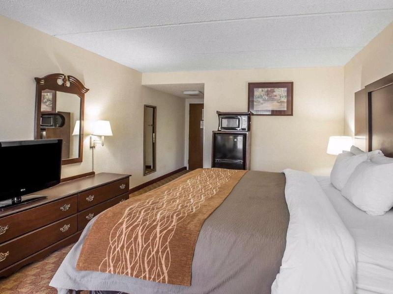Comfort Inn & Suites at I-85 image