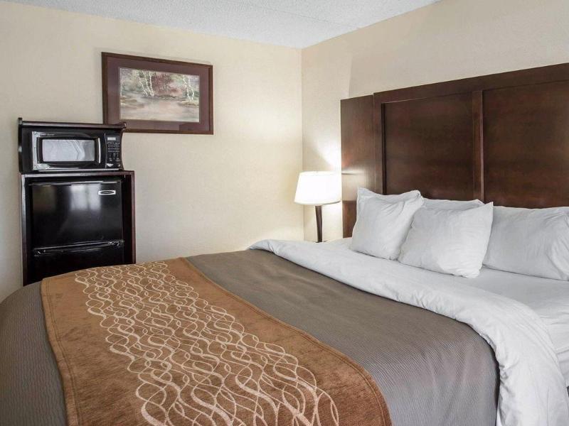 Comfort Inn & Suites at I-85 image