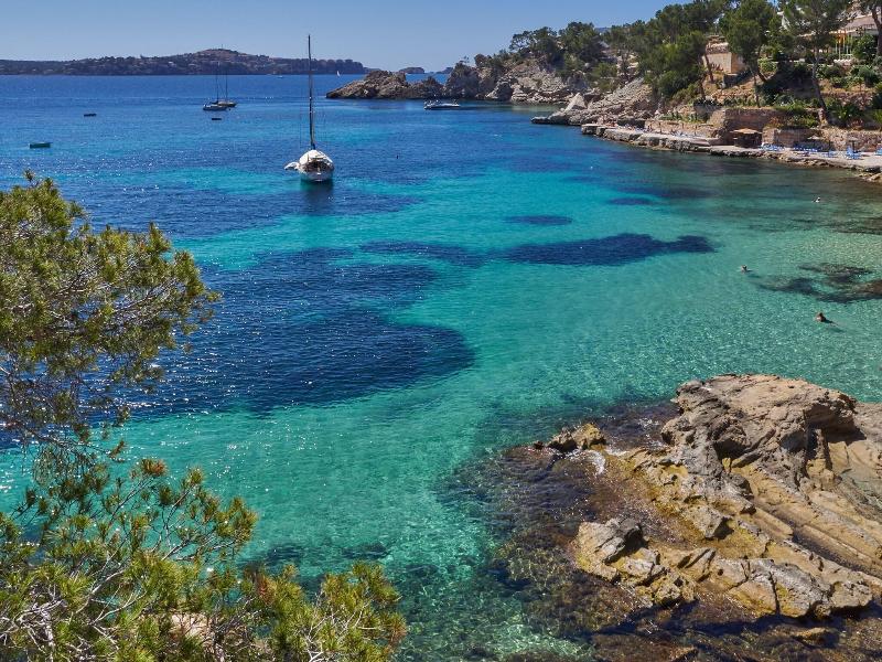 Petit Cala Fornells image