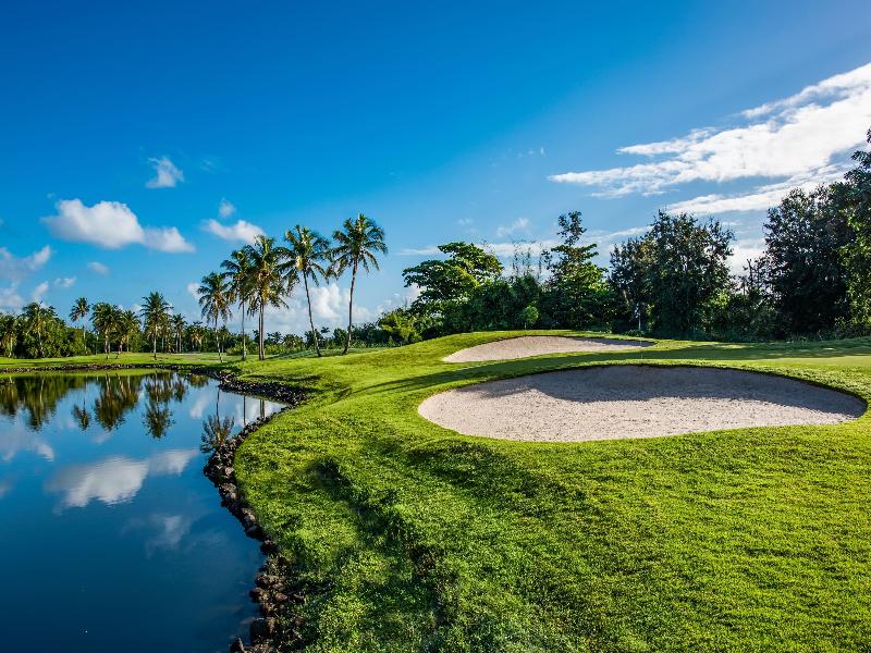 Wyndham Grand Rio Mar Rainforest Beach&Golf Resort image