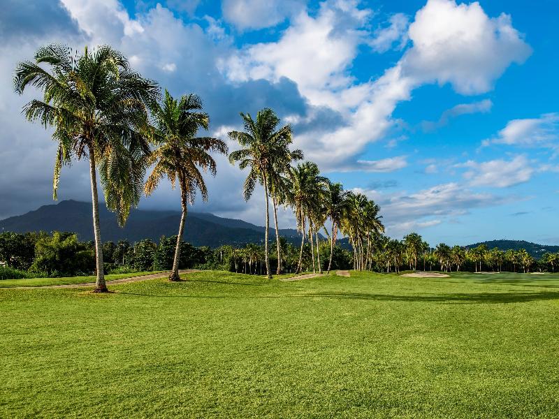 Wyndham Grand Rio Mar Rainforest Beach&Golf Resort image