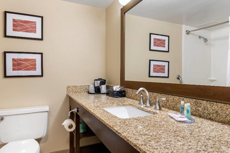 Comfort Inn MSP Airport - Mall of America image