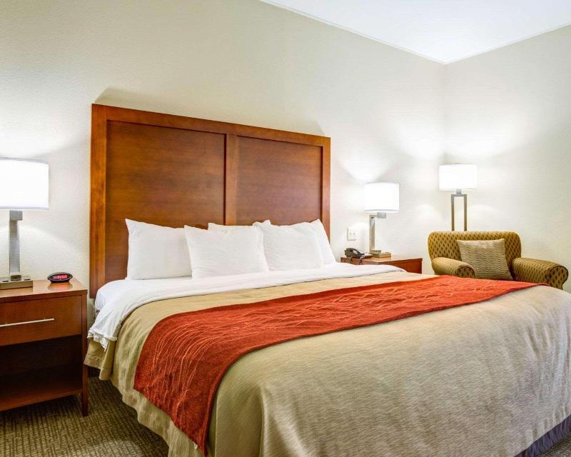 Hotel Comfort Inn Clemson - University Area