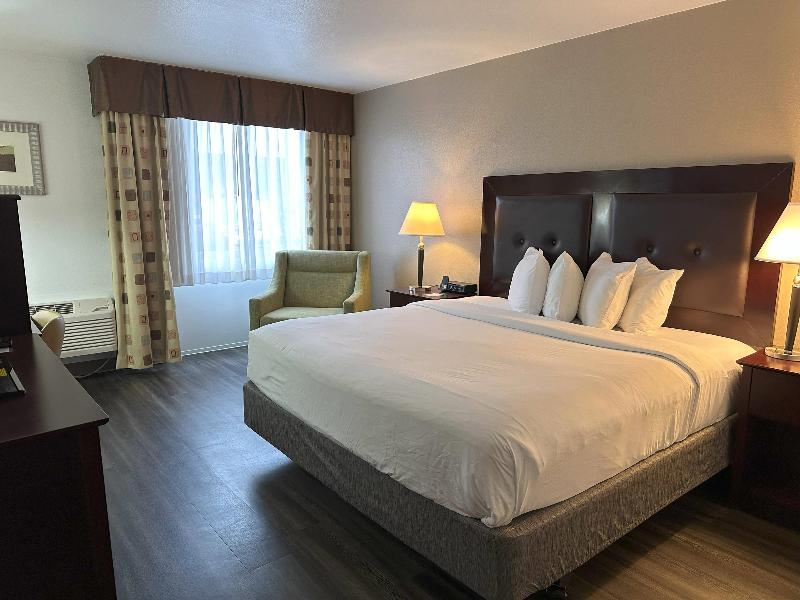 Quality Inn and Suites Everett image