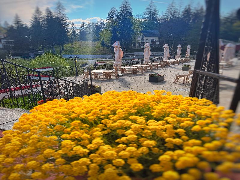 Piatra Mare image