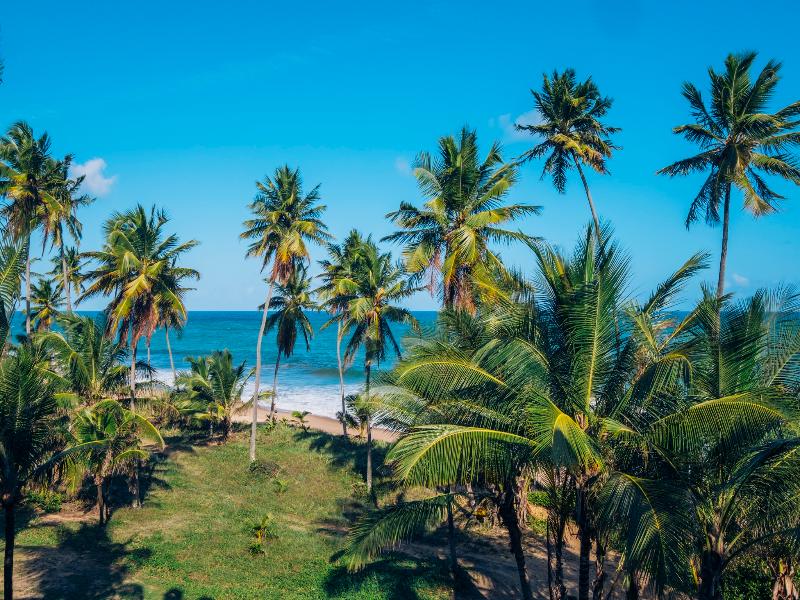 Iberostar Waves Bahia All Inclusive image