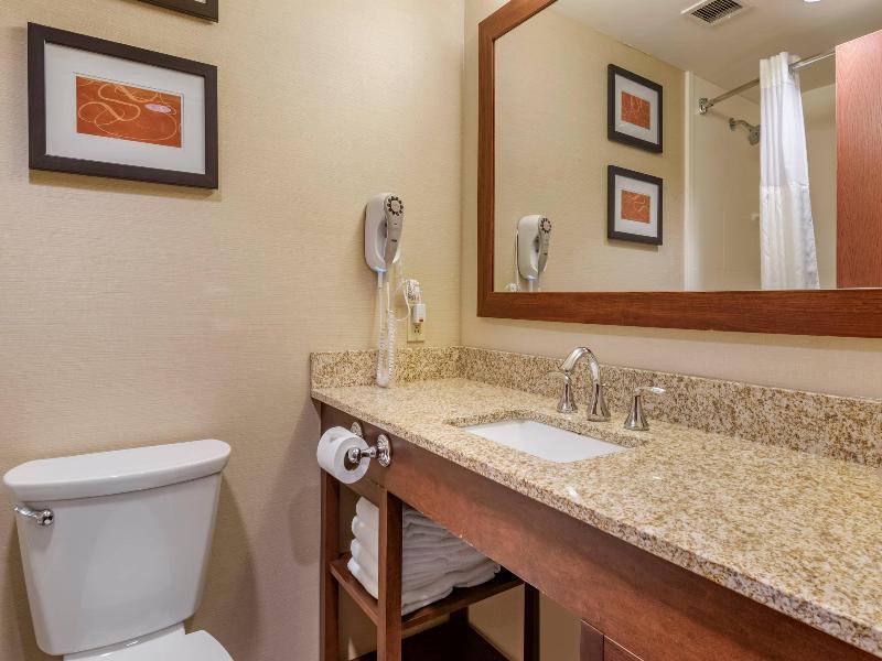 Comfort Suites Downtown Carlisle image