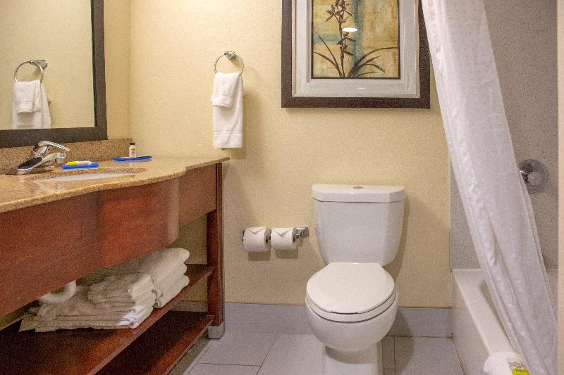 Holiday Inn Express Harrisburg SW - Mechanicsburg photo 21