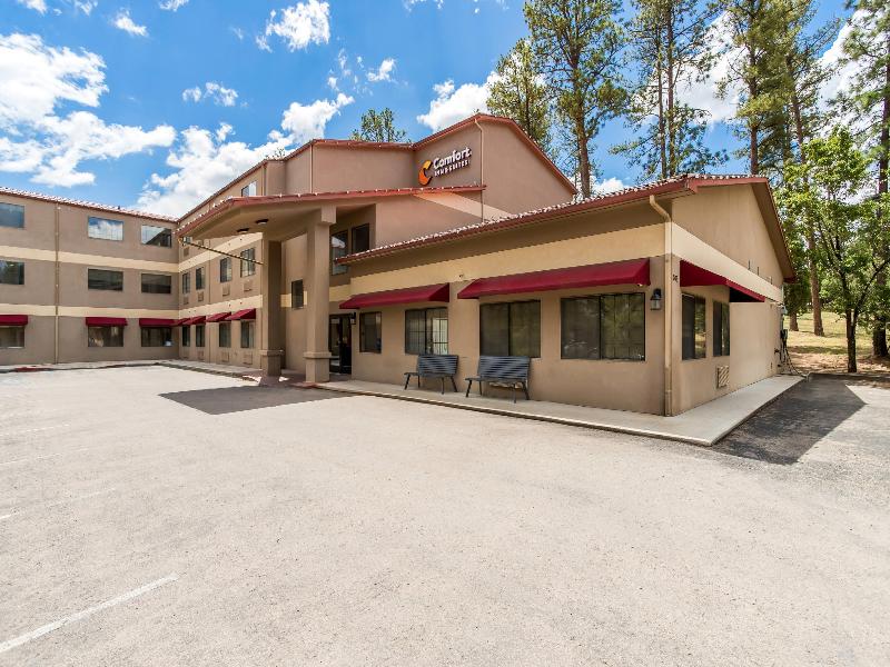 Comfort Inn & Suites Midtown