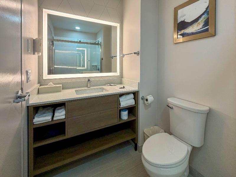Comfort Inn & Suites East Greenbush - Albany image
