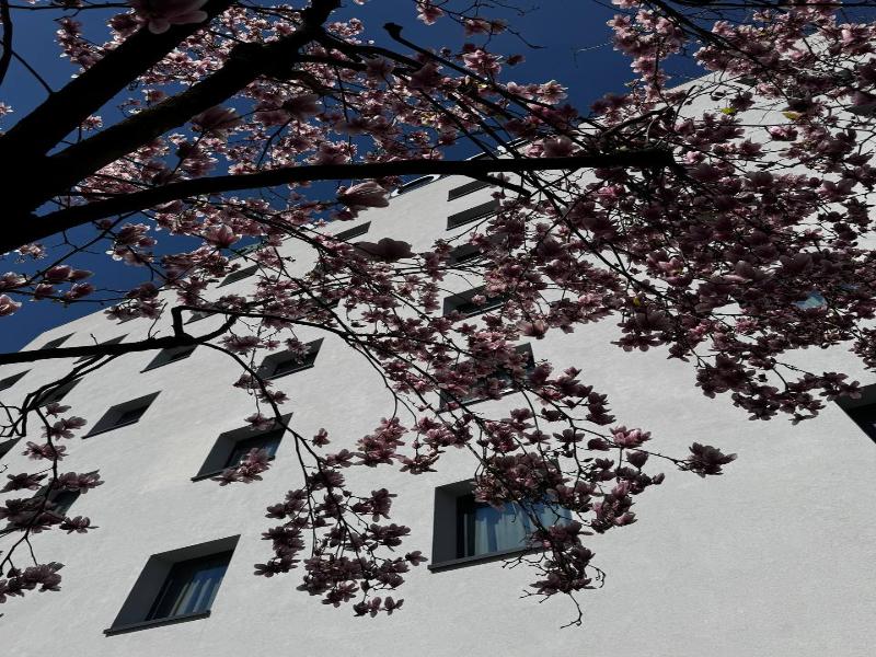 Acca Sporting Milano - AA Hotels image
