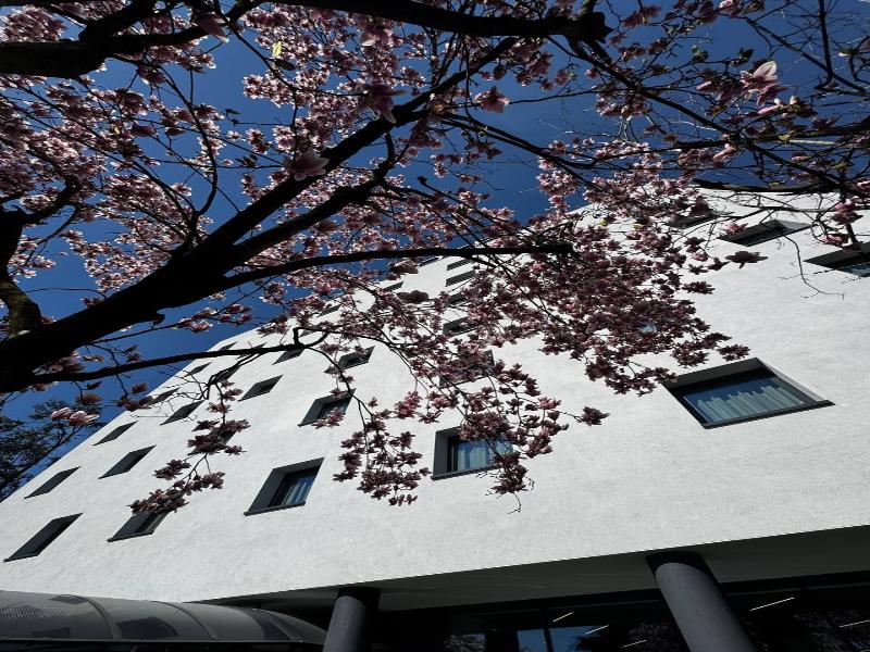 Acca Sporting Milano - AA Hotels image