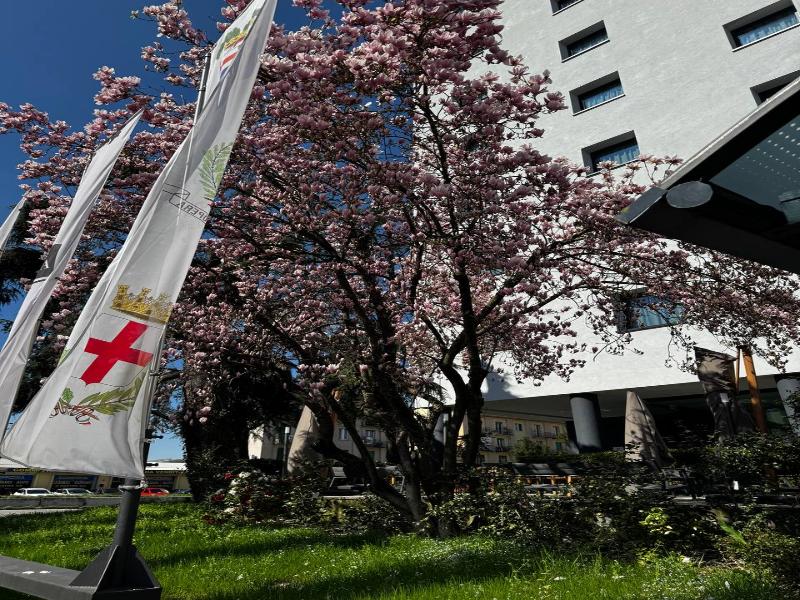 Acca Sporting Milano - AA Hotels image