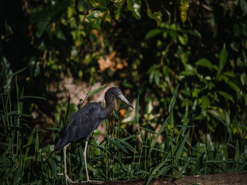 Mawamba Lodge image