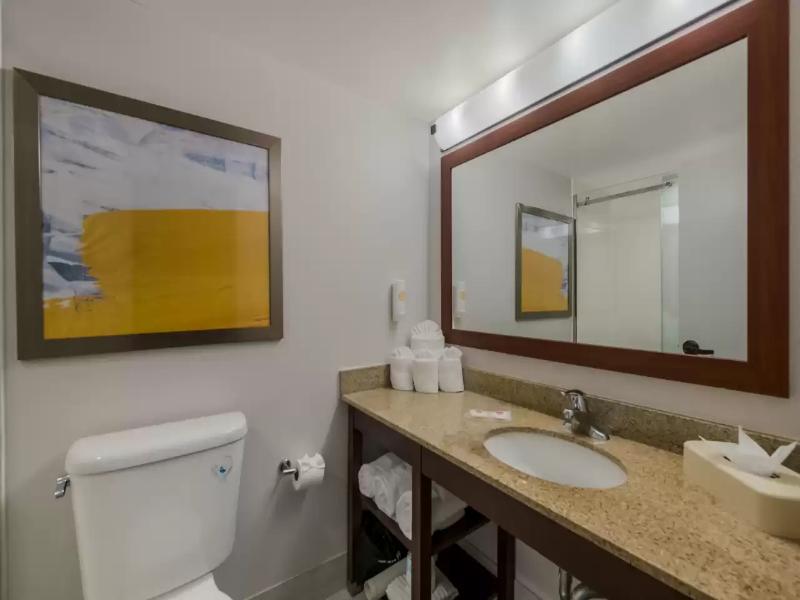 Comfort Inn Newport News - Hampton I-64 image