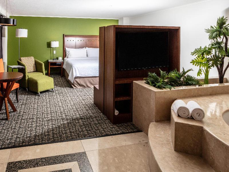 Holiday Inn Ciudad de Mexico Trade Center image