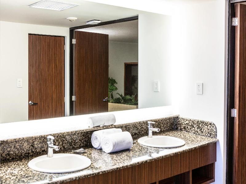 Holiday Inn Ciudad de Mexico Trade Center image