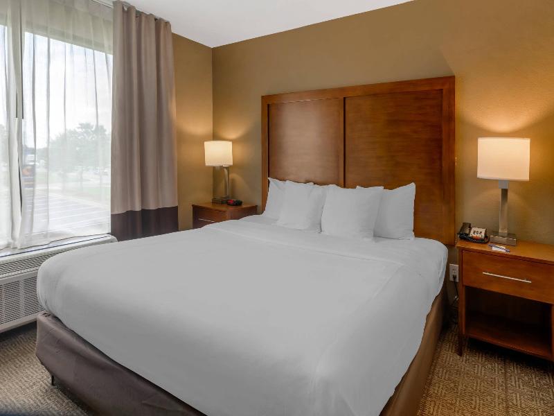 Comfort Inn & Suites Peachtree Corners image