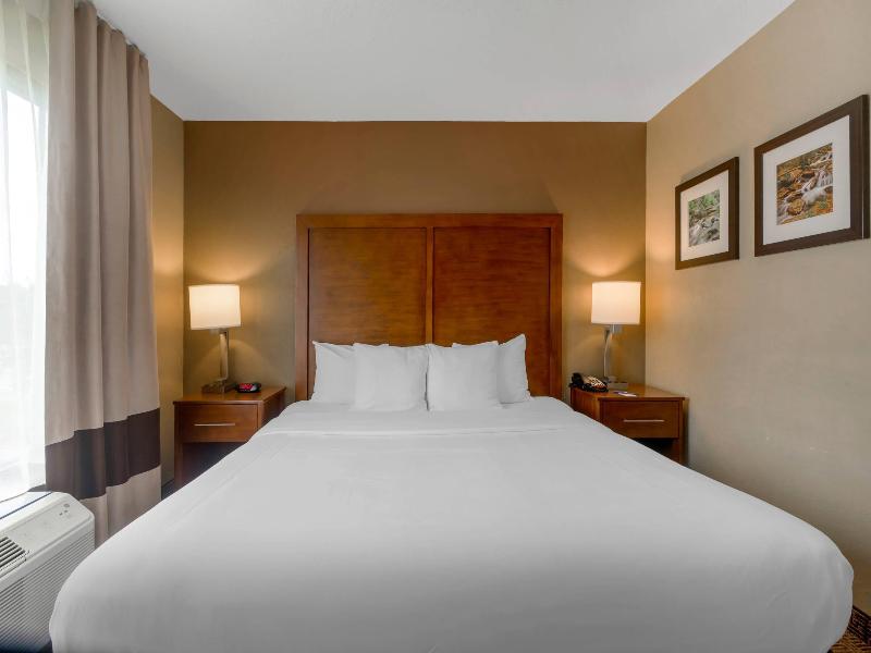 Comfort Inn & Suites Peachtree Corners image
