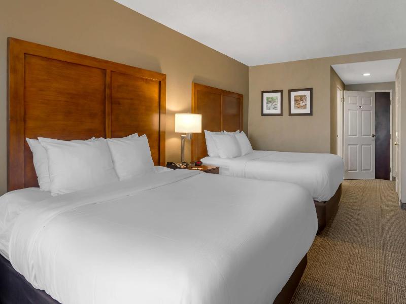 Comfort Inn & Suites Peachtree Corners image