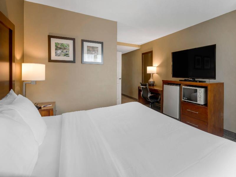 Comfort Inn & Suites Peachtree Corners image