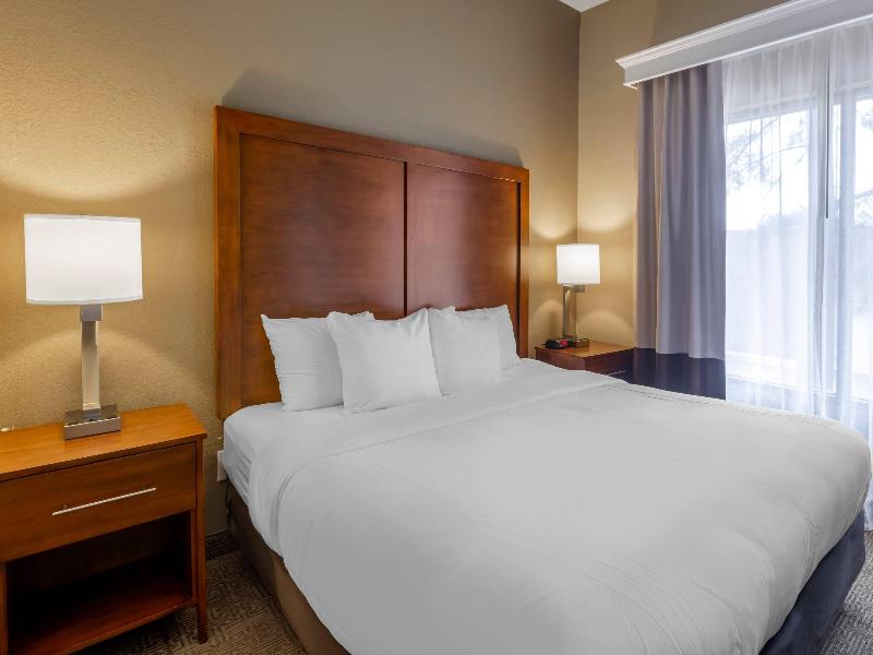 Comfort Inn & Suites Peachtree Corners image