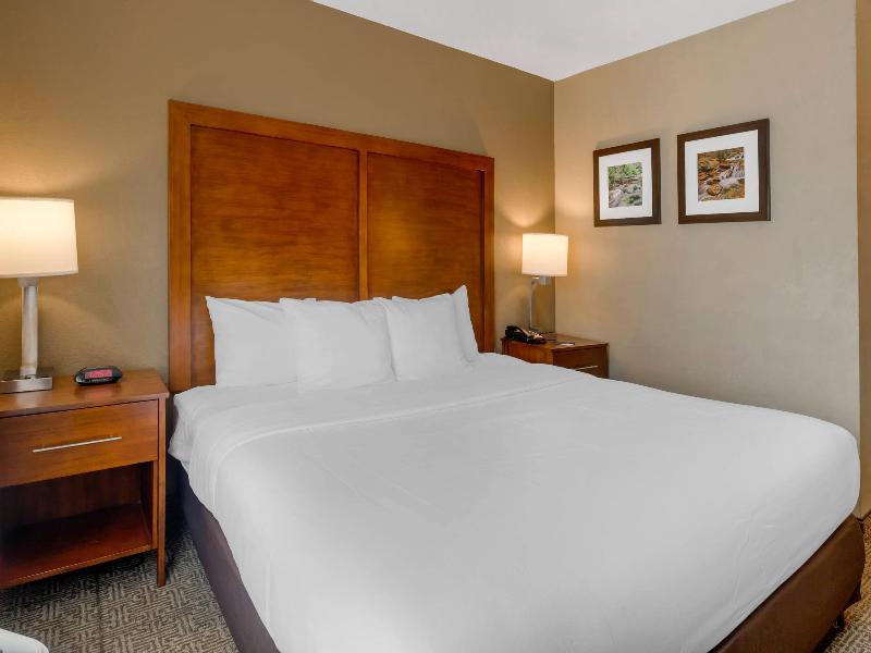 Comfort Inn & Suites Peachtree Corners image