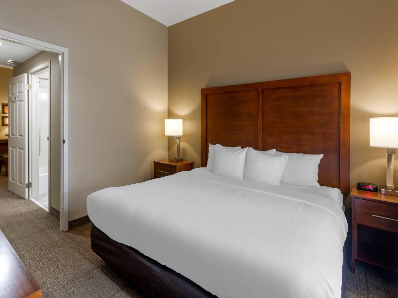 Comfort Inn & Suites Peachtree Corners image