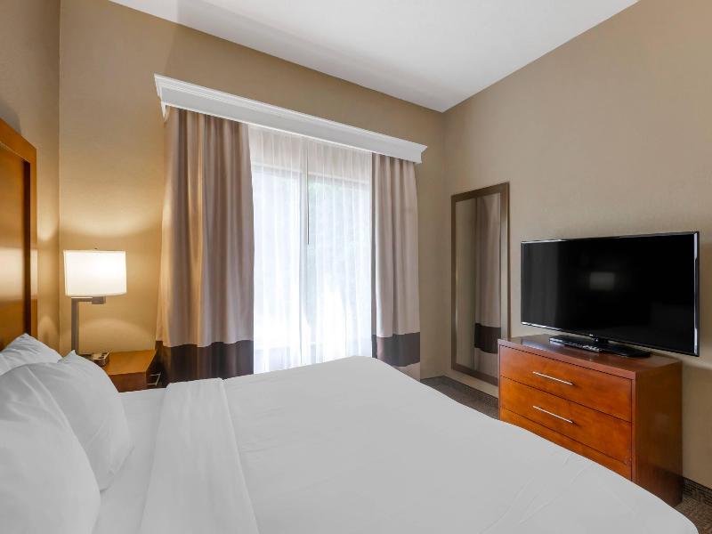 Comfort Inn & Suites Peachtree Corners image