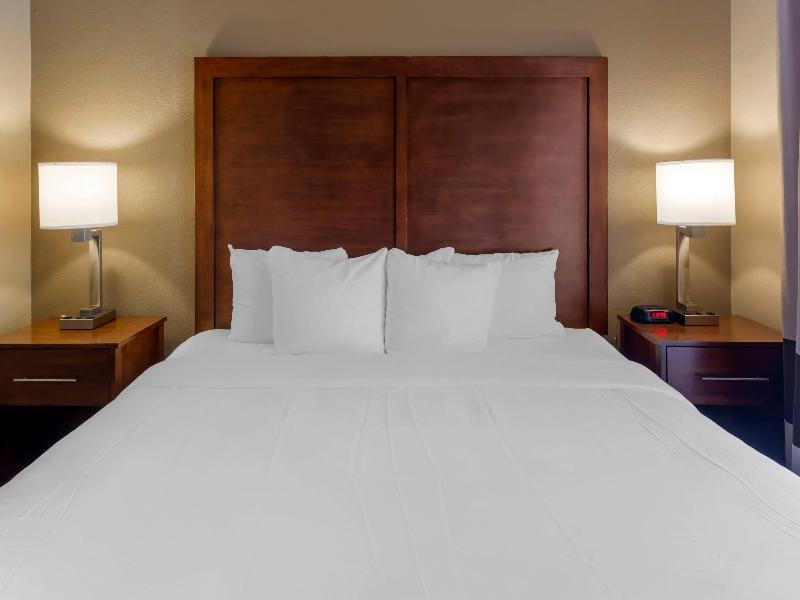 Comfort Inn & Suites Peachtree Corners image
