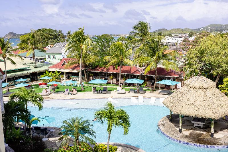 Coco Palm image