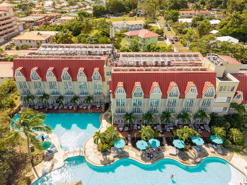 Coco Palm image