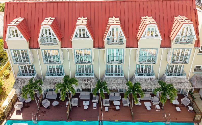 Coco Palm image