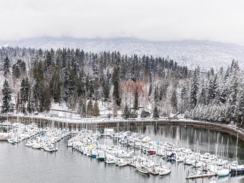 Westin Bayshore Vancouver image