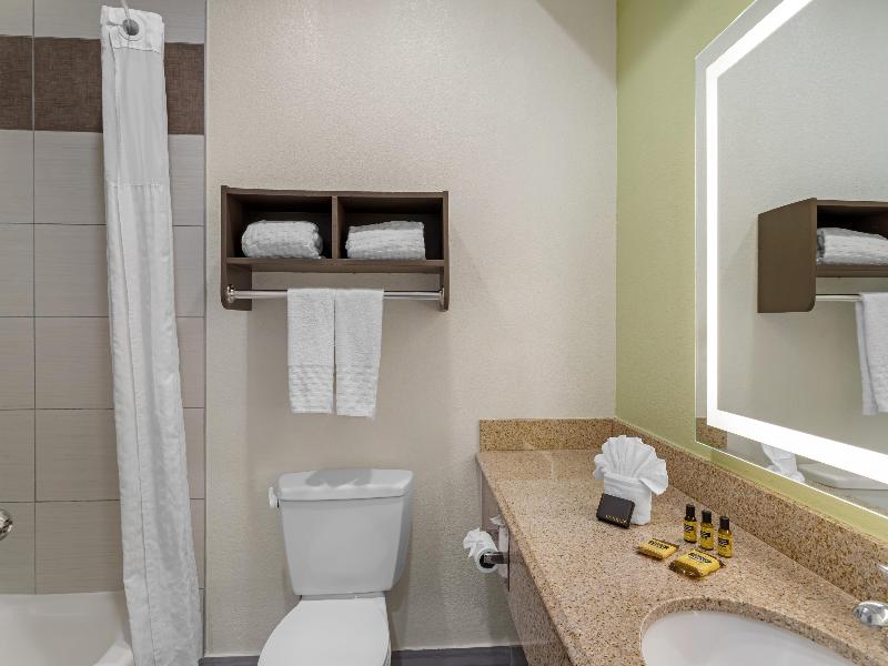 BEST WESTERN PLUS North Houston Inn & Suites image