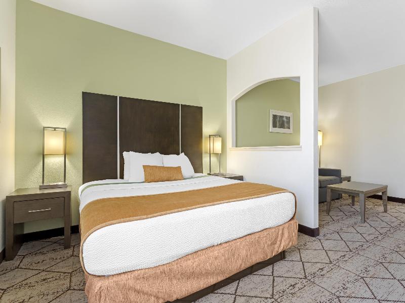BEST WESTERN PLUS North Houston Inn & Suites image