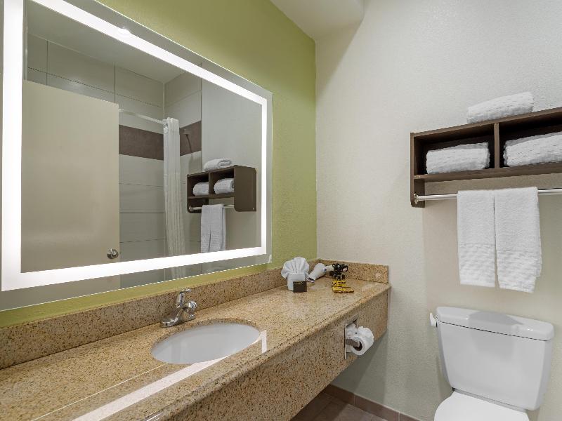 BEST WESTERN PLUS North Houston Inn & Suites image
