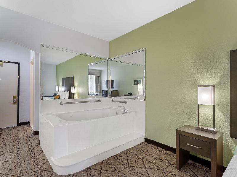 BEST WESTERN PLUS North Houston Inn & Suites image